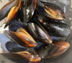 Best Black Mussel in Laurel, MD